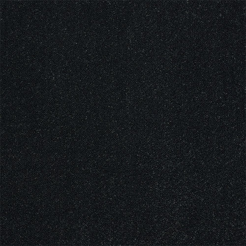 Black Raven