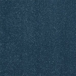 CARPET_FILTER_BLUE