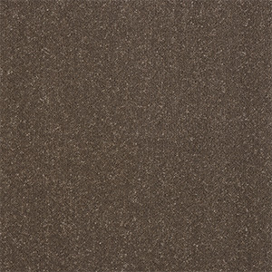 CARPET_FILTER_BROWN
