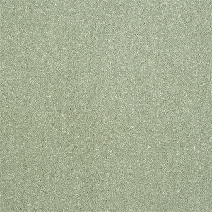 CARPET_FILTER_GREEN