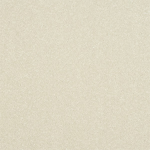CARPET_FILTER_WHITE