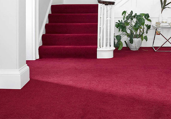 Wilton-Royal-Brand.jpg